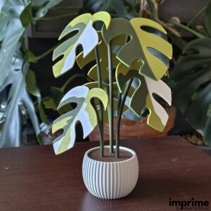 Posavasos de Monstera Variegata en impresión 3D