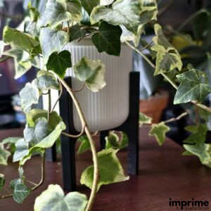 Maceta original con soporte en impresión 3D